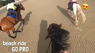 my FIRST time riding on the beach😱  galloping  GO PRO  equinemollie [upl. by Tilagram]