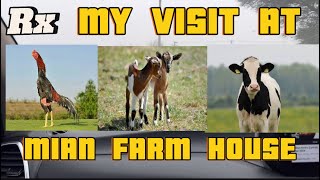 VISIT MY FRIEND FARM HOUSE [upl. by Lough]