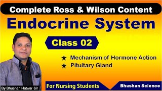 PART 2  Endocrine System  Nursing Online Classes  ROSS amp WILSON Anatomy amp Physiology [upl. by Ehcar]