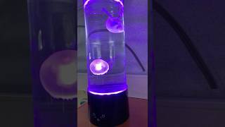 Jellyfish lamp 🪼 [upl. by Popper]