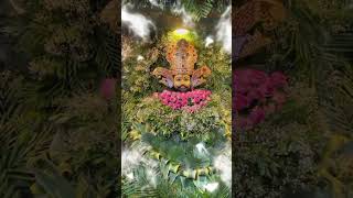 Jai shree Shyam 🙏 trending shyam shyambabasong vrialshort khatushyamjisong [upl. by Derek]