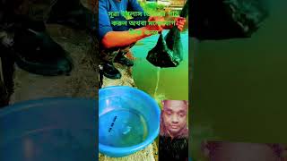 wow my god new fishing technique small fish qurantilawat trending like murabba fatma pangu [upl. by Nielsen449]