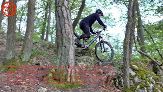 Test Rose Root Miller 4 – Wieviel Spaß macht das Bike aus dem Sale [upl. by Ajad766]