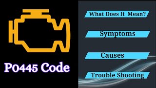 Solve the P0445 Trouble Code Top Causes and StepbyStep Repairs [upl. by Rossi361]