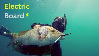 Spearfishing with my Electric board Efoil  Chasse sousmarine en planche electrique Ep24 [upl. by Esirehs]