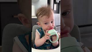 Everything My 6 Month Old Eats In A Day He loves trying new foods [upl. by Savanna38]