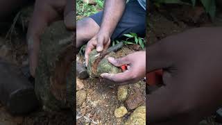 Cracking It Open for Hidden Fossils 🪨🦴💎 Fossil Rockhounding Gems Gold [upl. by Obeng]