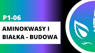 P106 Aminokwasy i białka  budowa [upl. by Yr]