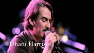 Dhani Harrison  SAVOY TRUFFLE COVER Beatles HD [upl. by Ysle]