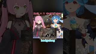 Bao learns about Echidnas vtuber vtuberen shorts [upl. by Dnana]