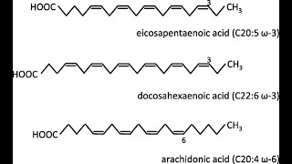 structures of Polyunsaturated Fatty acid Linoleic Alphalinolenic Eicosapentaenoic Docosahexaenoic [upl. by Fulcher]