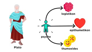 A Brief History of Psychology From Plato to Pavlov [upl. by Eledoya569]