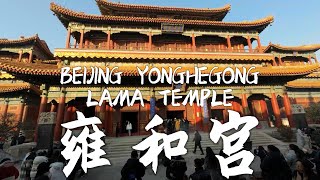 BEIJING YONGHEGONG LAMA TEMPLE 北京雍和宫Museums [upl. by Sseb]