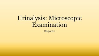 Urinalysis Basics Microscopic Examination of Urine [upl. by Barbaresi]