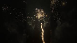 Weco Goldfinger vom Lidl🔥 fireworks feuerwerk silvester vuurwerk fajerwerki ohnostroj pyro [upl. by Bohaty]