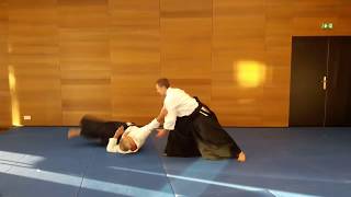 Tachi waza Kata dori Kokyu nage [upl. by Ydrah]