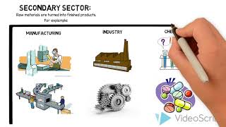 Economic Sectors [upl. by Fanni]