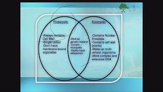 2 Components and types of cell [upl. by Tahpos]