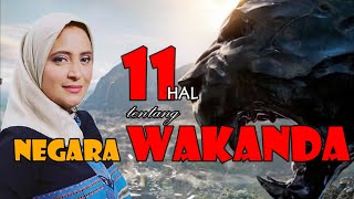 11 MYTHS OF THE WAKANDA STATE [upl. by Pejsach]