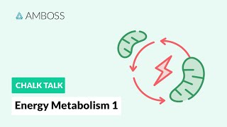 Energy Metabolism  Part 1 Bodys Sources of Energy [upl. by Aynek]