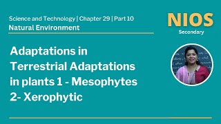 NIOS Secondary  Science and Technology  Chapter 29  Natural Environment [upl. by Perretta]