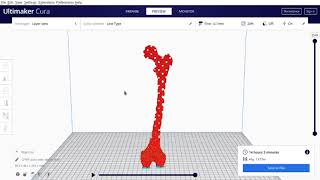 Tool Path Generation Slicing of a human femur bone in Cura [upl. by Eceinwahs]