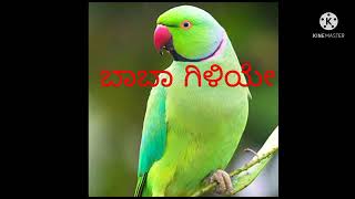 Baa Baa Giliye Kannada poem  Kannada Rhyme Baa Baa Giniye Kannada Rhyme singing [upl. by Cima]