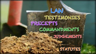 What Are the Differences of Law Testimonies Precepts Commandments Judgements and Statutes [upl. by Schubert]