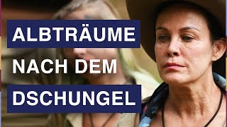 Albträume nach Dschungelcamp Sonja Kirchberger leidet [upl. by Ayital527]