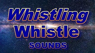 ▶️ Whistling Sound Effects Help To Train Your Bird To Whistle 12 Hours 🌏 [upl. by Netsriik]