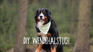 Wendehalstuch nähen für Hunde  herzensberner [upl. by Qerat]