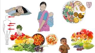 Hindi Nutrition video 4 Fruits and Vegetables protecting foods [upl. by Aisauqal]