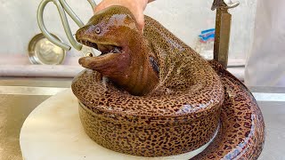 Moray eel 5kg Moray eel for sashimi grilled salad panfried sour soup  Vn Chef [upl. by Mortensen]