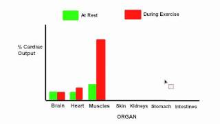 B33 Compare the distribution of blood flow at rest and during exercise [upl. by Moth]