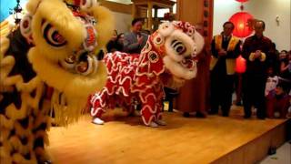 Chinese New Year Lion Dance Performance 2011  Buddhist Templewmv [upl. by Johnsten]