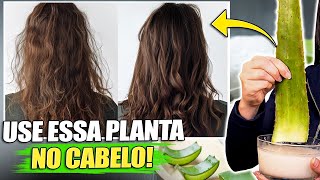 8 RECEITAS SECRETAS que SALVAM qualquer cabelo em 7 dias com BABOSA Aloe Vera [upl. by Iteerp]