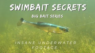 Big Swimbait Bass Fishing  Insane Underwater Footage [upl. by Nerraf56]