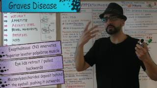 Thyroid Hormone Part 3  Hyperthyroidism  Endocrine 8  Med School Mondays with PROMO [upl. by Anha214]