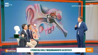 Inquinamento acustico gli effetti sul cervello  Unomattina 21102024 [upl. by Eiznek]