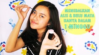 TIPS MENEBALKAN ALIS amp BULU MATA DALAM 1 MINGGU  Indira Kalistha [upl. by Anirdnaxela]