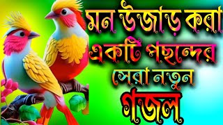 মন উজাড় করার একটি পছন্দের গজল [upl. by Liz]