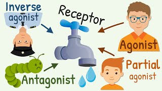 Agonist Partial Agonist Antagonist and Inverse Agonist for Receptors [upl. by Pages]