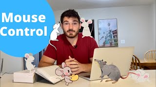 How To Get Rid of Mice  EVERYTHING You NEED to Know [upl. by Lletram]