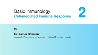 Dr Tamer Soliman I Basic Immunology  Cellmediated Immune Response Part 2 [upl. by Otanod194]