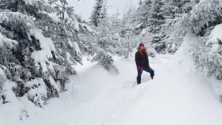 Schneeschuhwanderung auf die Hornisgrinde Nordschwarzwald am 091217 [upl. by Eikcir]