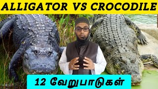 12 Different between Crocodile Vs Alligator  Arham Usmani Umari [upl. by Reivazx971]