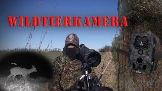 Wildtierkamera aufstellen und Ergebnisse Fuchssuche II 2018 [upl. by Yelhsa]