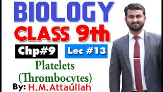 Platelets  thrombocytes Smart syllabus  Chapter 9  9th class Biology  Lec 13 [upl. by Aneleasor673]