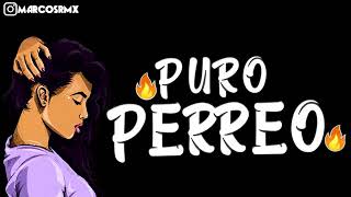 PURO PERREO 9🔥 BRASILERO 2019 MARCOS RMX [upl. by Muryh]