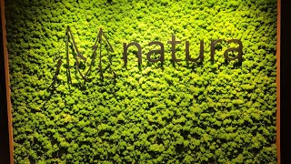 Natura Hotel  Bodenmais  ACTIV Budget Spa Hotel  Wellness Urlaub 2024 [upl. by Eterg]